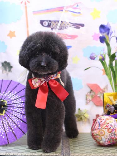 20240504ラブくん